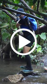 BIB:  <button type="button" onclick="openModal(27808795)" class="btn btn-primary btn-sm float-right" data-toggle="modal" data-target=".modal-high-quality">
                <i class="fa fa-download"></i> Download
                </button>